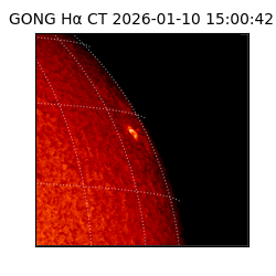 gong - 2026-01-10T15:00:42