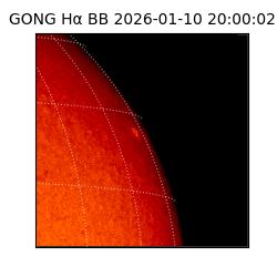 gong - 2026-01-10T20:00:02