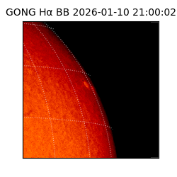 gong - 2026-01-10T21:00:02