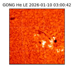 gong - 2026-01-10T03:00:42