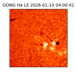 gong - 2026-01-10T04:00:42
