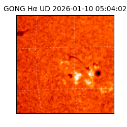 gong - 2026-01-10T05:04:02
