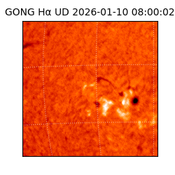 gong - 2026-01-10T08:00:02