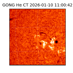 gong - 2026-01-10T11:00:42