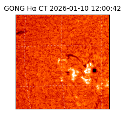 gong - 2026-01-10T12:00:42