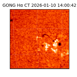 gong - 2026-01-10T14:00:42
