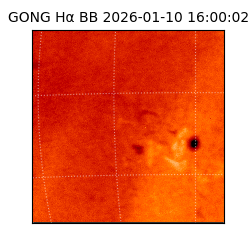 gong - 2026-01-10T16:00:02