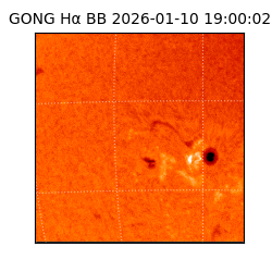 gong - 2026-01-10T19:00:02