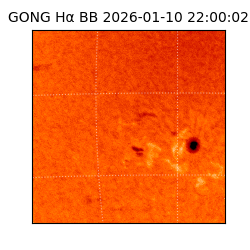 gong - 2026-01-10T22:00:02