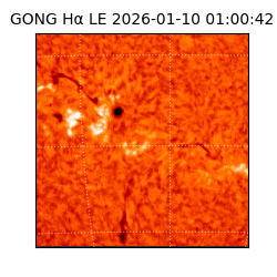gong - 2026-01-10T01:00:42