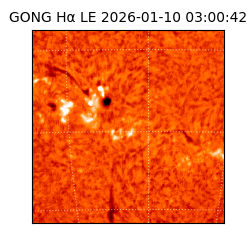 gong - 2026-01-10T03:00:42