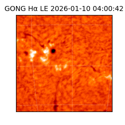 gong - 2026-01-10T04:00:42