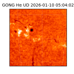 gong - 2026-01-10T05:04:02