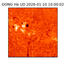 gong - 2026-01-10T10:00:02