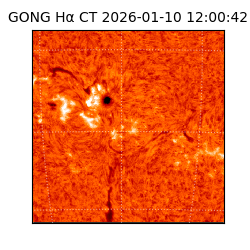 gong - 2026-01-10T12:00:42