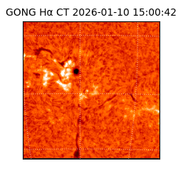 gong - 2026-01-10T15:00:42