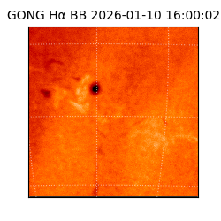 gong - 2026-01-10T16:00:02