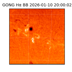 gong - 2026-01-10T20:00:02