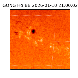 gong - 2026-01-10T21:00:02