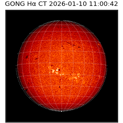 gong - 2026-01-10T11:00:42