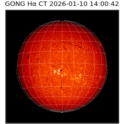 gong - 2026-01-10T14:00:42