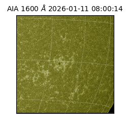 saia - 2026-01-11T08:00:14.130000