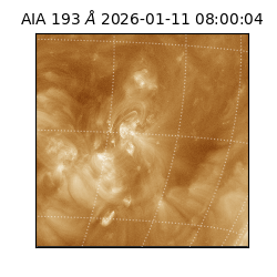 saia - 2026-01-11T08:00:04.840000