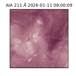 saia - 2026-01-11T08:00:09.630000
