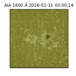 saia - 2026-01-11T03:00:14.125000