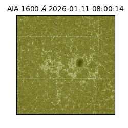 saia - 2026-01-11T08:00:14.130000
