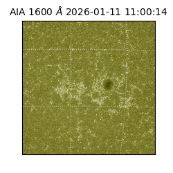 saia - 2026-01-11T11:00:14.130000
