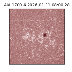 saia - 2026-01-11T08:00:28.720000