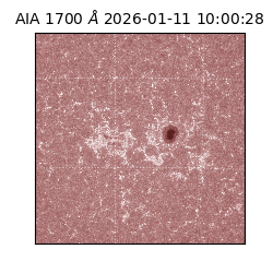 saia - 2026-01-11T10:00:28.720000