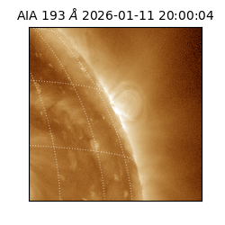 saia - 2026-01-11T20:00:04.840000