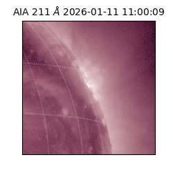 saia - 2026-01-11T11:00:09.630000
