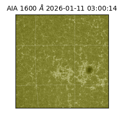 saia - 2026-01-11T03:00:14.125000