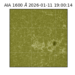 saia - 2026-01-11T19:00:14.130000