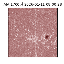saia - 2026-01-11T08:00:28.720000
