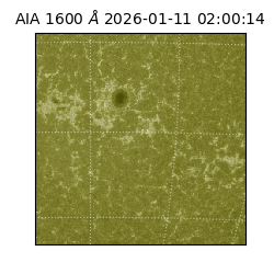 saia - 2026-01-11T02:00:14.126000
