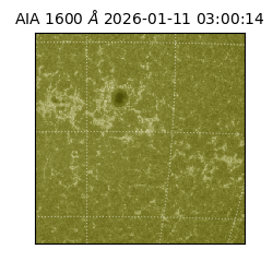saia - 2026-01-11T03:00:14.125000