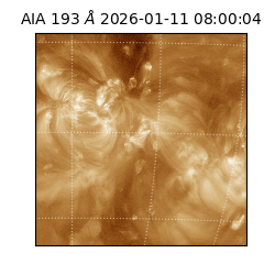 saia - 2026-01-11T08:00:04.840000