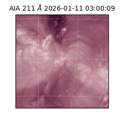 saia - 2026-01-11T03:00:09.632000