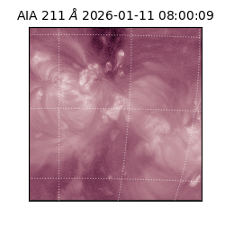 saia - 2026-01-11T08:00:09.630000