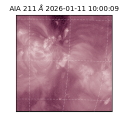 saia - 2026-01-11T10:00:09.630000