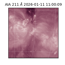 saia - 2026-01-11T11:00:09.630000