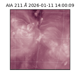 saia - 2026-01-11T14:00:09.630000
