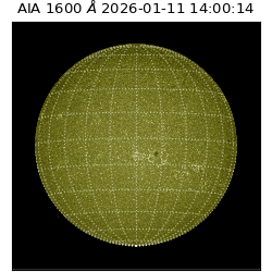 saia - 2026-01-11T14:00:14.130000