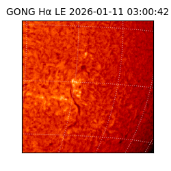 gong - 2026-01-11T03:00:42