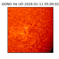 gong - 2026-01-11T05:00:02