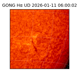 gong - 2026-01-11T06:00:02
